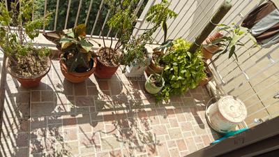 Balcony Image of 997 Sq.ft 2 BHK Apartment / Flat for sale in Unitech Uniworld Gardens 2, Sector 47 Gurgaon for Rs. 15000000
