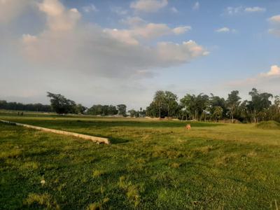 Image of 720 Sq.ft Residential Plot / Land for sale in Naxalbari, Siliguri for Rs. 390000