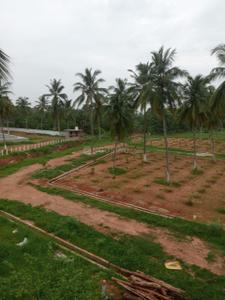 Image of 1000 Sq.ft Residential Plot / Land for sale in Bhogapuram, Vizianagaram for Rs. 665899