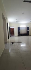 Hall Image of 1250 Sq.ft 2 BHK Apartment / Flat for rent in Samiah Vrinda City, Phi IV Greater Noida for Rs. 16000
