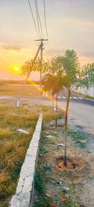 NPS Nagar Plot View 2