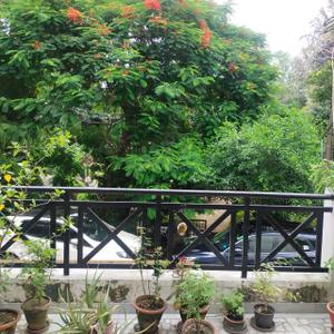 Balcony Image of 2500 Sq.ft 3 BHK Apartment / Flat for sale in Investors Plus Investor's Plus Floors - 2, Malviya Nagar New Delhi for Rs. 50000000
