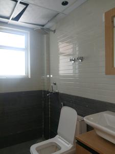 Common Bathroom Image of 780 Sq.ft 3 BHK Apartment / Flat for sale in ROF Aalayas by ROF Group, Sector 108 Gurgaon for Rs. 8500000