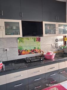Kitchen Image of 1431 Sq.ft 2 BHK Apartment / Flat for sale in Colin 56, Motera Ahmedabad for Rs. 6200000