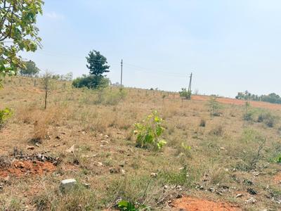 Image of 2400 Sq.ft Residential Plot / Land for sale in Hanchya, Mysore for Rs. 5500000