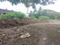Uran Main Image 1