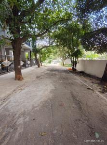 Image of 1465 Sq.ft 2.5 BHK Apartment / Flat for rent in Sampigehalli, Bengaluru for Rs. 32000