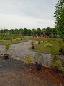 Image of 1200 Sq.ft Residential Plot / Land for sale in Nemam, Thiruvallur, Chennai for Rs. 3840000