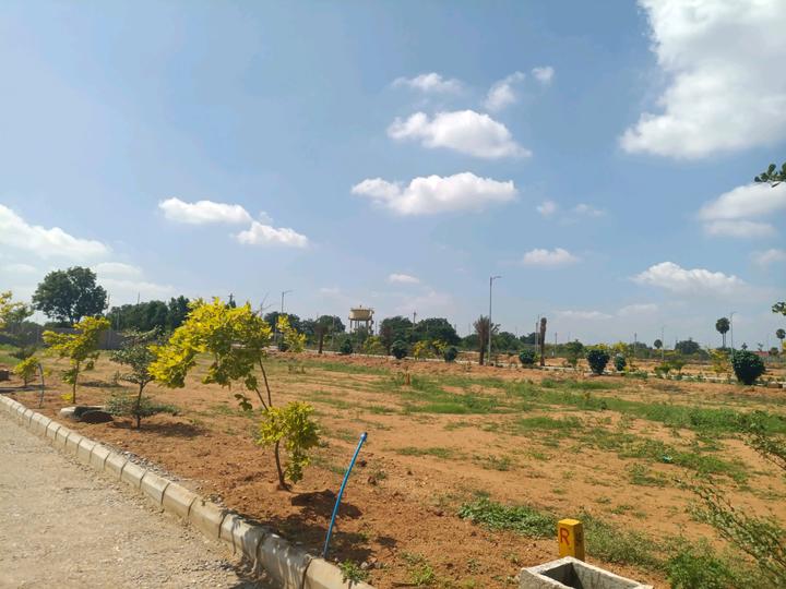 SGD Elite Main Image 1