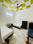 Hall Image of Archie Homez girls Pg in GTB Nagar, New Delhi