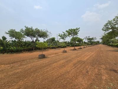 Image of 5000 Sq.ft Residential Plot / Land for sale in Amleshwar, Raipur for Rs. 2750000