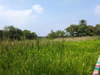 Image of 2880 Sq.ft Residential Plot / Land for sale in Natures Paradise, Joka, Kolkata for Rs. 699989