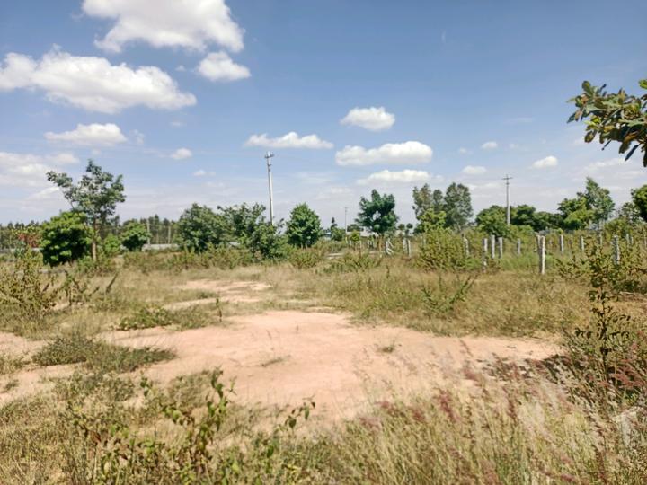 Budigere Main Image 1