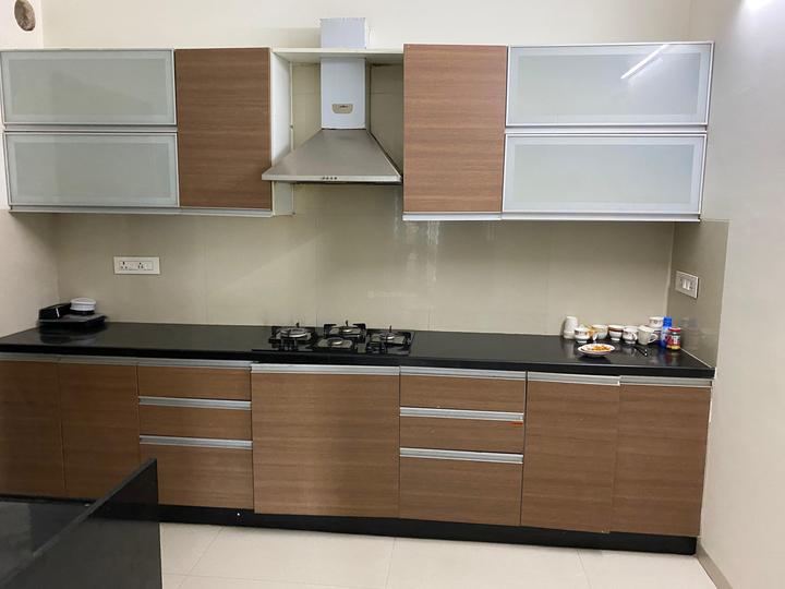 Pride Purple Park Turquoise Main Image 1