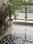 Balcony Image of harikrishan pg in Lajpat Nagar, New Delhi