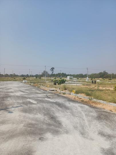 White lotus  Plot View 1