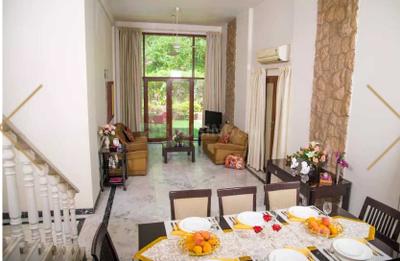 Hall Image of 1850 Sq.ft 3 BHK Apartment / Flat for rent in Sharan Hermitage, Koregaon Park Pune for Rs. 120000