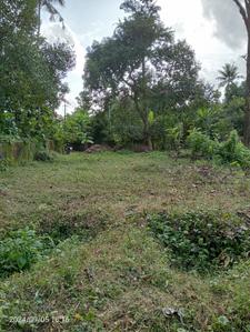 Image of 65334 Sq.ft Residential Plot / Land for sale in Keezhmadu, Aluva for Rs. 10500000