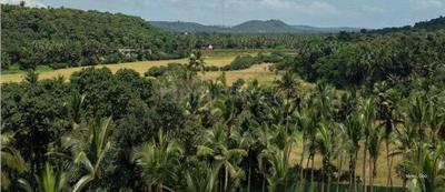 Image of 3050 Sq.ft 3 BHK Villa for sale in Salcete, Goa for Rs. 81000000