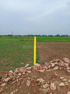 Image of 1200 Sq.ft Residential Plot / Land for sale in Naubatpur, Patna for Rs. 1200000