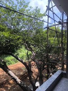 Bedroom Three Image of 3150 Sq.ft 5 BHK Apartment / Flat for sale in Vajarahalli Bengaluru for Rs. 29000500