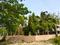Action Area 2 Plot View 2