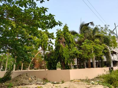 Action Area 2 Plot View 2