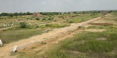 Block C Plot View 1
