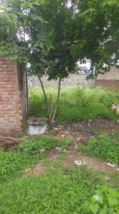 Ward 27 Plot View 1