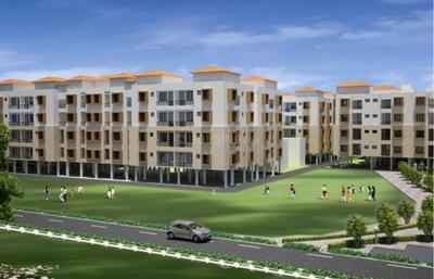 3 BHK Flat