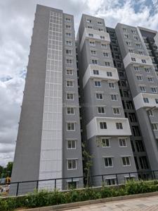 3 BHK Flat