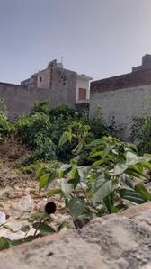 Image of 1200 Sq.ft Residential Plot / Land for sale in Kamta, Lucknow for Rs. 6200000