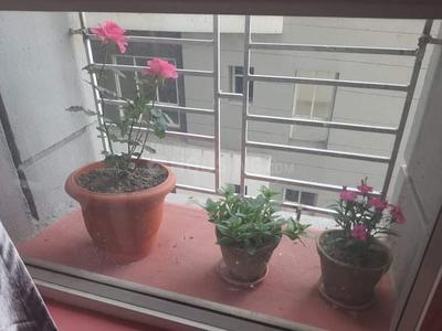 Balcony Image of 1136 Sq.ft 3 BHK Apartment / Flat for sale in Riya Manbhari Greens, Makardah Howrah for Rs. 5500000