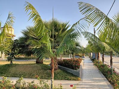 Image of 850 Sq.ft Residential Plot / Land for sale in Ahuja Victoria Milan Extension, Rau, Indore for Rs. 4000000