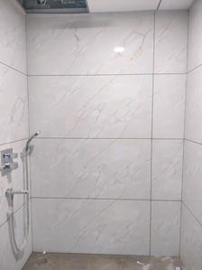 Common Bathroom Image of 1350 Sq.ft 2 BHK Apartment / Flat for rent in Electronic City Bengaluru for Rs. 46000