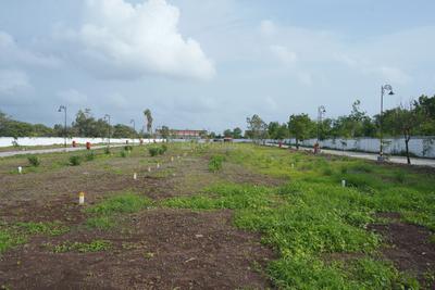 Image of 1277 Sq.ft Residential Plot / Land for sale in Vadner Dumala, Devlali for Rs. 3700000