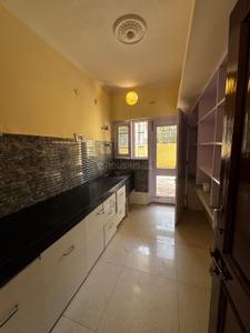 Kitchen Image of 1800 Sq.ft 3 BHK Builder Floor for rent in Sector 43 Chandigarh for Rs. 50000