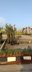 Image of 1300 Sq.ft Residential Plot / Land for sale in Illalur, Chennai for Rs. 4550000