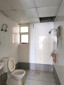Common Bathroom Image of 858 Sq.ft 2 BHK Apartment / Flat for sale in Aditya Luxuria Estate, Bamheta Village Ghaziabad for Rs. 5900000