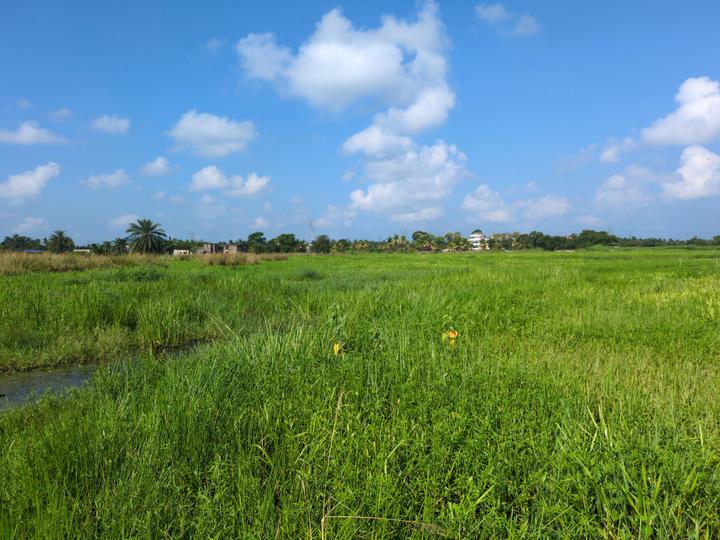 Wander Valley Main Image 1
