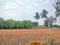 Marsur Plot View 2