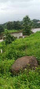Image of 2088 Sq.ft Residential Plot / Land for sale in Karjat, Thane for Rs. 3132000