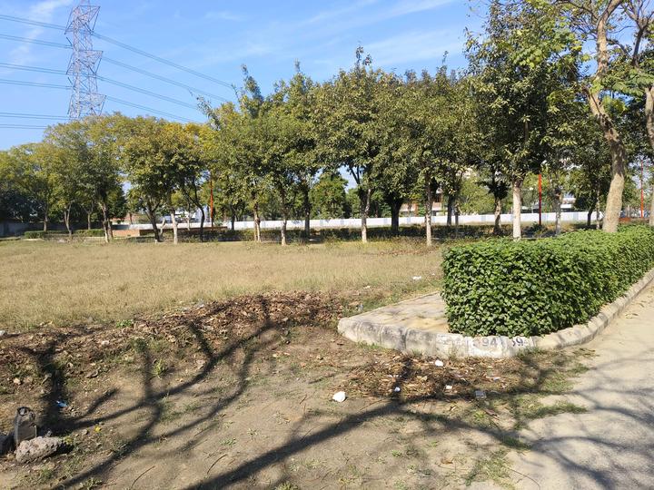 Vatika India Next Plot Main Image 1