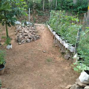Image of 1200 Sq.ft 3 BHK Independent House for sale in Shoranur, Palakkad for Rs. 2900000