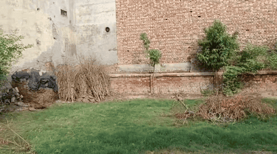 Image of 5246 Sq.ft Residential Plot / Land for sale in Barsana, Mathura for Rs. 20300000