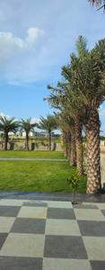 Image of 1500 Sq.ft Residential Plot / Land for sale in Shadnagar, Ranga Reddy for Rs. 3200000