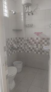 Bathroom Image of 660 Sq.ft 1 BHK Apartment / Flat for rent in Whitefield Bengaluru for Rs. 25000