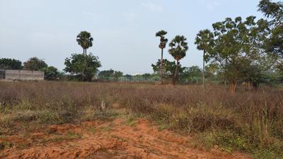 Image of 1800 Sq.ft Residential Plot / Land for sale in Vaddeswaram, Guntur for Rs. 8000000