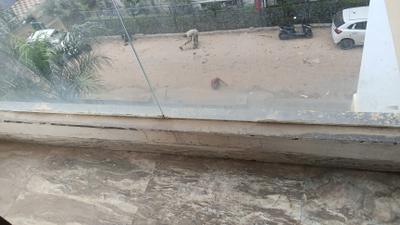 Image of 550 Sq.ft 1 BHK Builder Floor for rent in Patel Nagar, Gurgaon for Rs. 20000