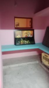 Bedroom Image of 1500 Sq.ft 1 BHK Builder Floor for rent in MDC Sector 4 Panchkula for Rs. 20000